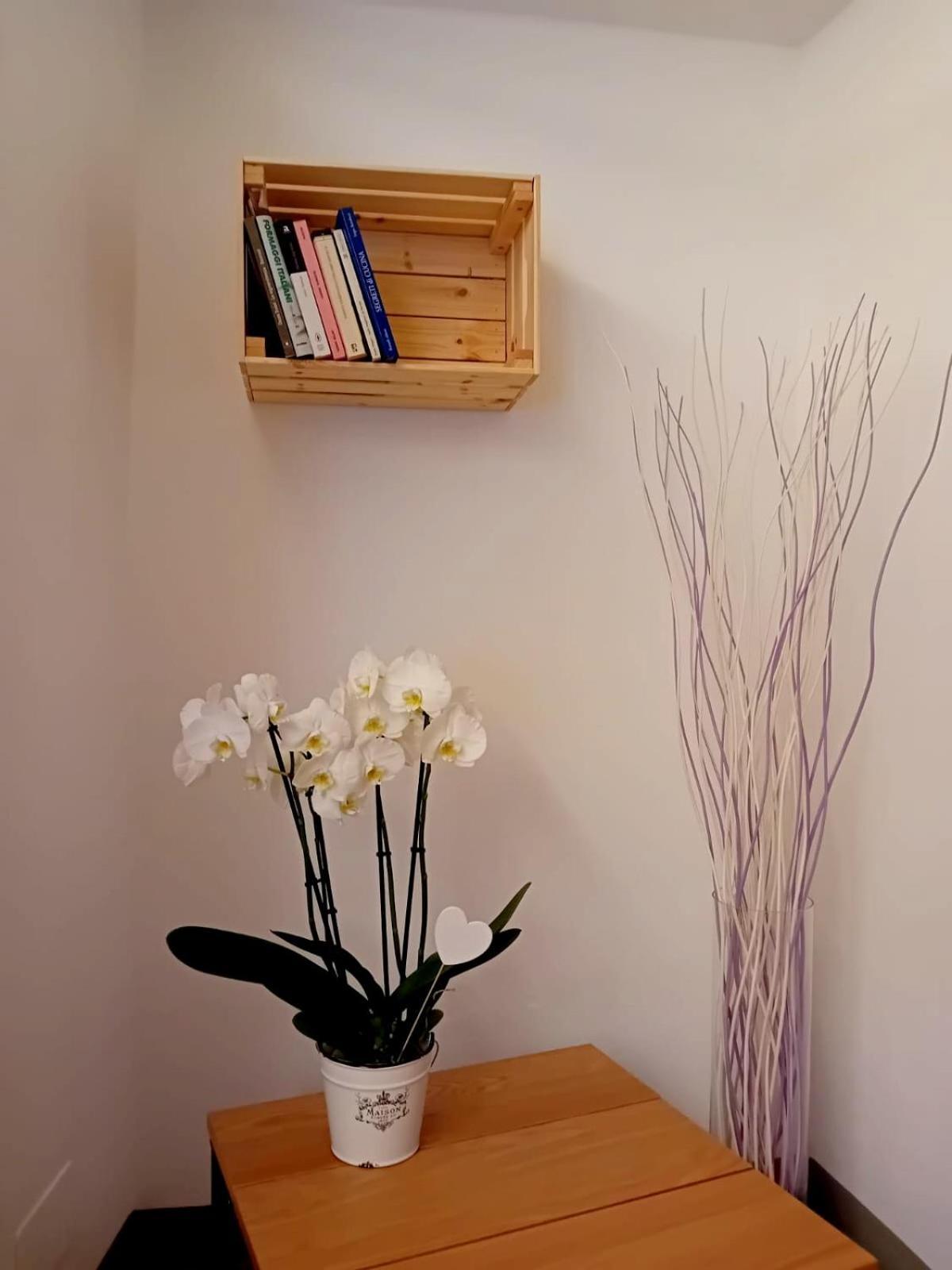 오르타산줄리오 Casa Longhi 아파트 외부 사진